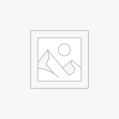 Curso de Humanización de los Servicios de Salud y Atención Centrada en el Paciente